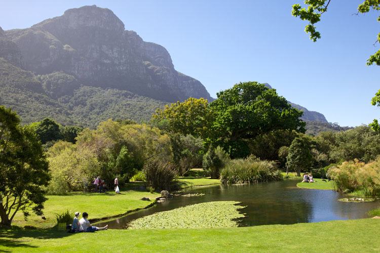 Lawns, trees and a pond at Kirstenbosch below the slopes of Table Mountain.